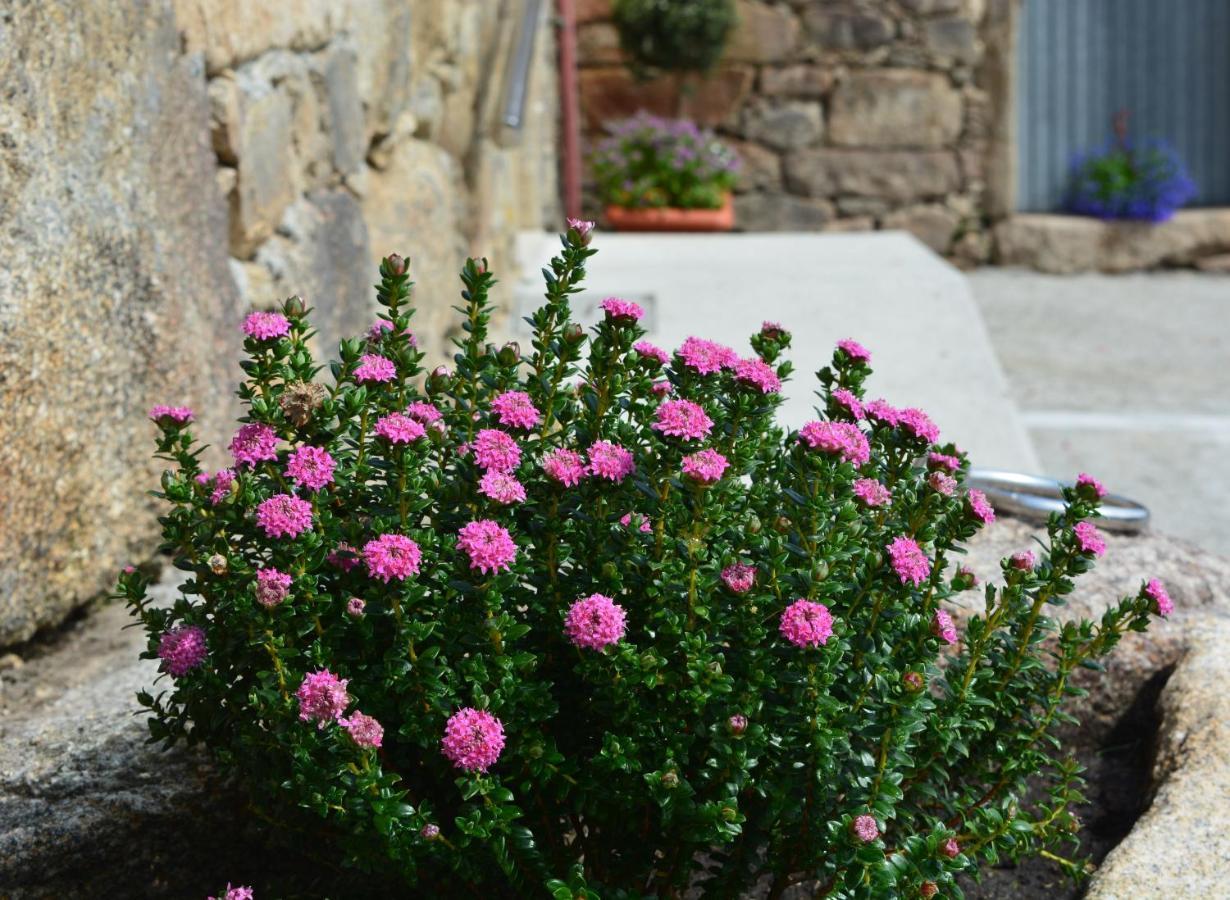 Casa De Valente - Camarinas Villa Dış mekan fotoğraf